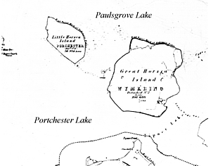 Little Horsea and Great Horsea in the 1800s