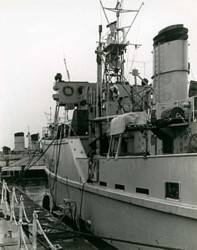 Ton Class minesweepers of the Vernon Squadron Feb 1957