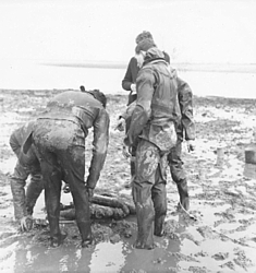 Jackie Rea and team on a beach