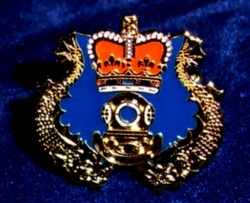 RN CD Brooch