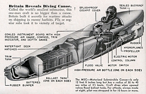 Cutaway image of Sleeping Beauty