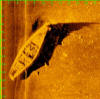 Sonar image of sunken dhow