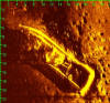 Sonar image of sunken patrol boat