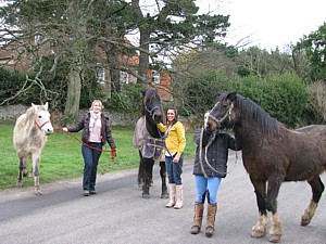 "Transport for Messrs Barlow, Holloway and Hoole is now waiting on the jetty road outside."