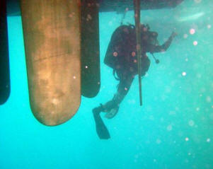 Clearance Diver surveys Blyth's Voith-Schneider propulsors